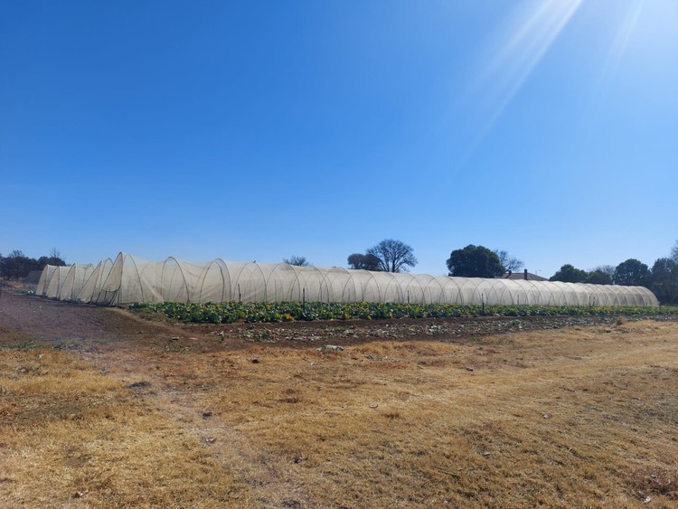 Dust in the air: Lack of transparency over Gauteng farming project funding